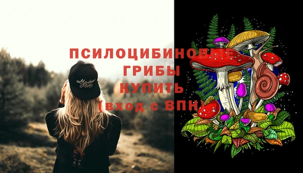 прущая мука Абинск