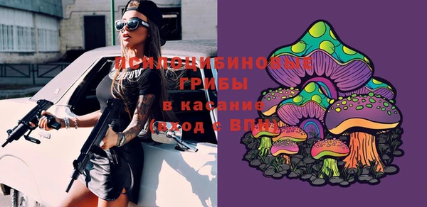 индика Алзамай